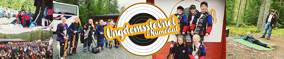 Ungdomsstevnet